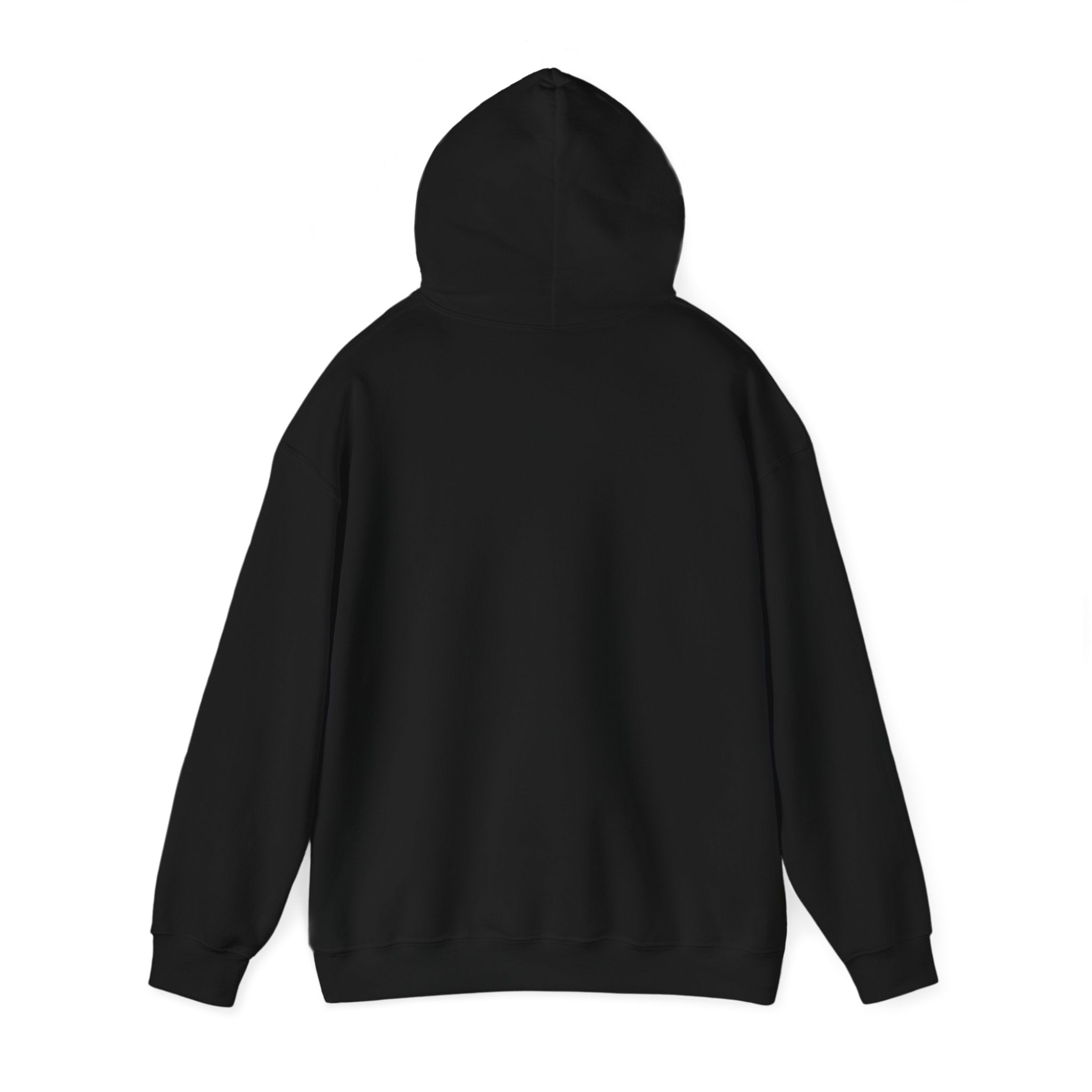 Anita Max Wynn Drake Hooded Sweatshirt | Fan Merch