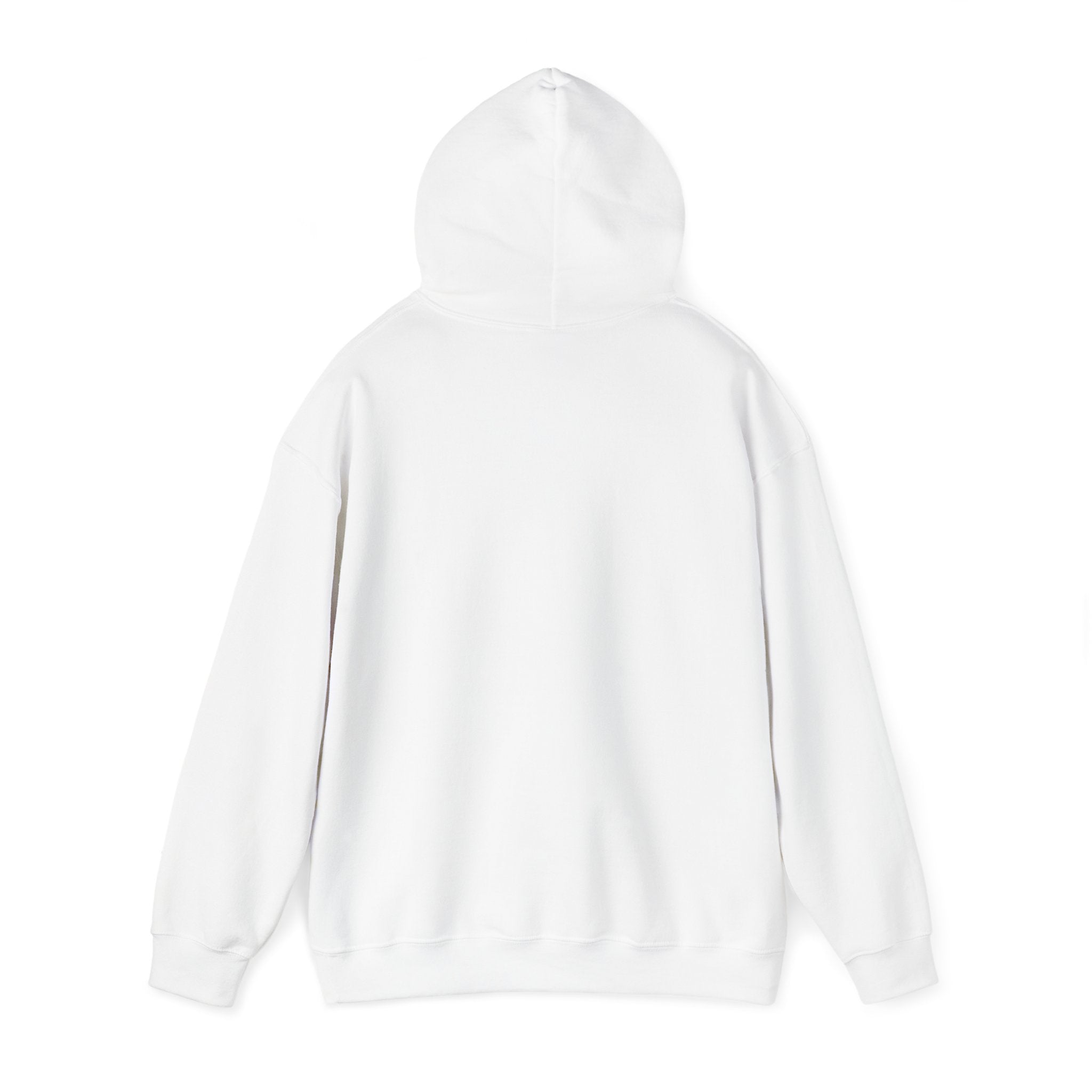 Anita Max Wynn Drake Hooded Sweatshirt | Fan Merch