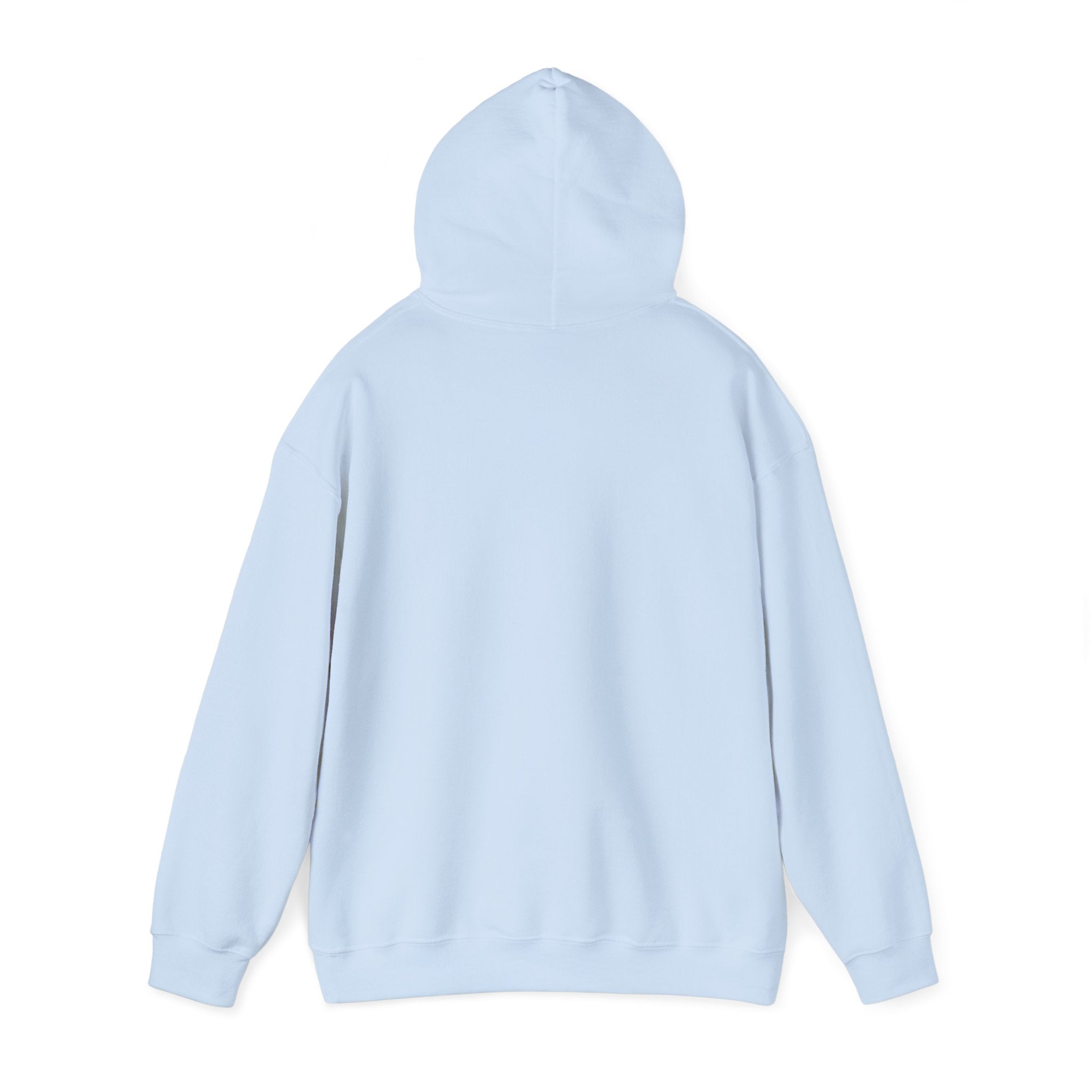 Anita Max Wynn Drake Hooded Sweatshirt | Fan Merch